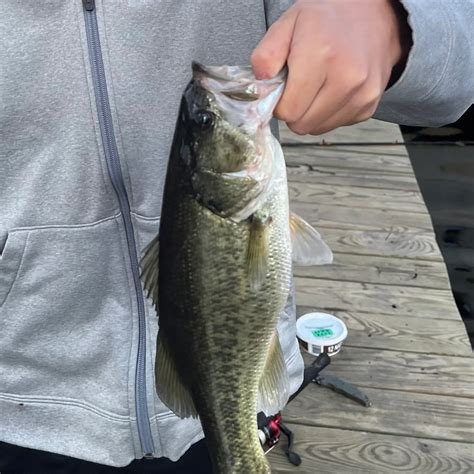 fishing report lewes de|ᐅ Broadkill River fishing reports • Lewes, DE  .